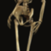 Full-3d-human-skeleton-bryan-brandenburg